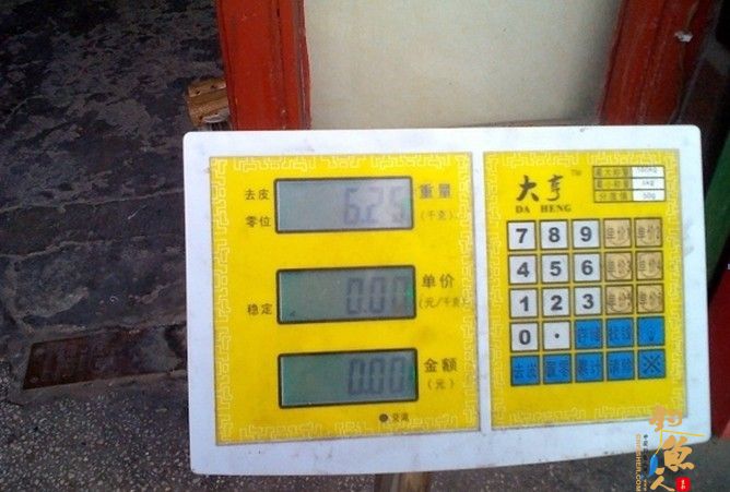 2012端午擒大物 有图为证 1