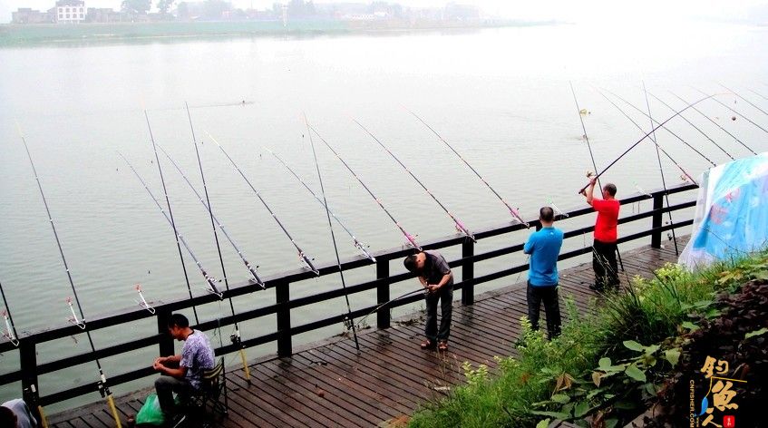 遂宁：清晨为抢钓鱼位起争执引众人围观 1