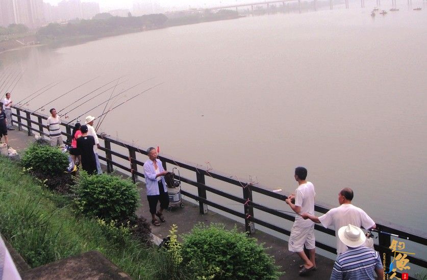 遂宁：清晨为抢钓鱼位起争执引众人围观 3