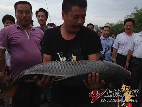 信江河里钓上一条大鱼 图
