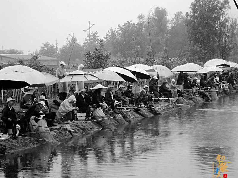 “太原市第九届夕阳红"名仕渔猎"杯钓鱼大赛 钓手雨中竞技