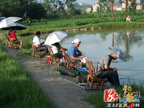 官黎坪街道办事处钓鱼协会举行钓鱼比赛 图