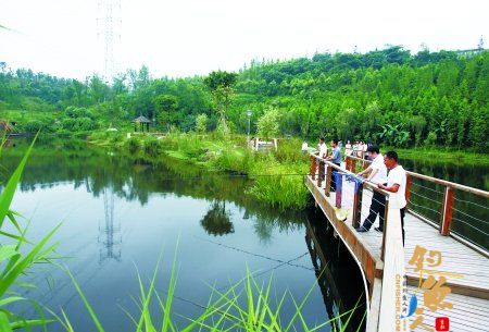 昨日，园博园，市民们在湖边垂钓。