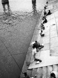 本溪太子河城市段又能钓到野生鱼了