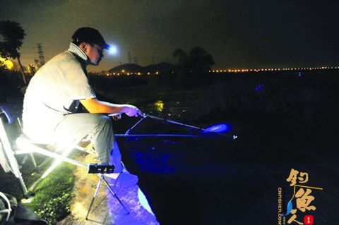 夜钓的诱惑，大鱼爱在夜里出动