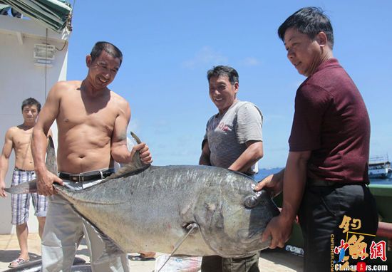 海南渔民南沙钓得40KG大鱼 1
