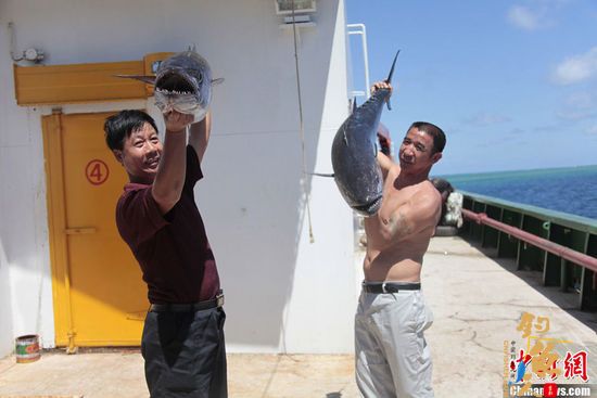 海南渔民南沙钓得40KG大鱼2