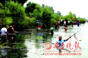 上游提闸泄洪 岔河大鱼乱蹦 安全须注意