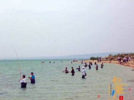 福海县国际野鱼垂钓大赛暨夏季文化旅游节开幕 图