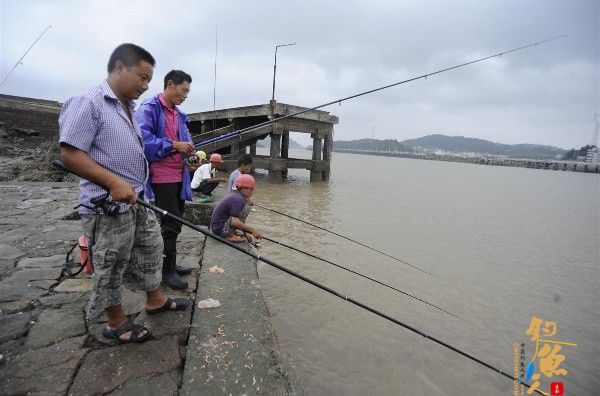 “苏拉”台风后，洞头各大码头钓鱼爱好者聚集
