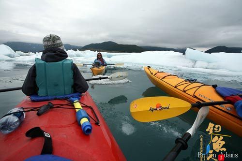 阿拉斯加推荐钓法：冰川海钓在美国的阿拉斯加州，热爱钓鱼的人多不胜数