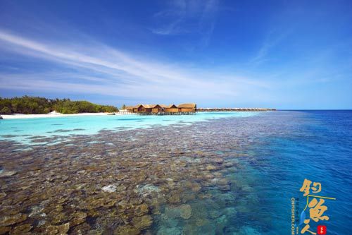 马尔代夫推荐钓法：黄昏垂钓黄昏垂钓是马尔代夫旅游的经典活动之一