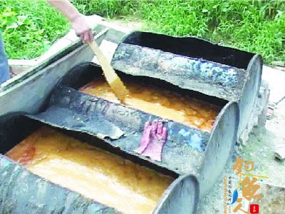 鱼塘旁放着四五个铁桶,里面装着泔水