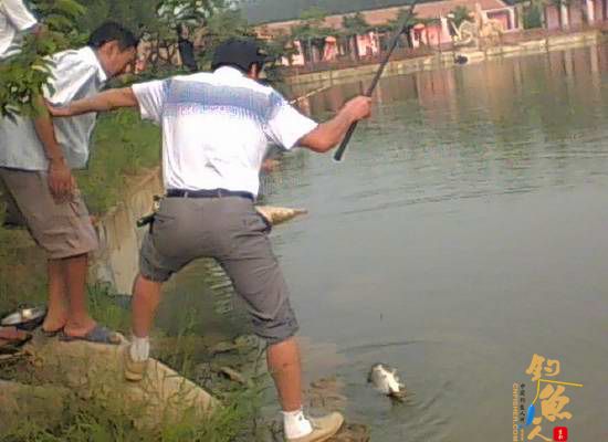 安徽定远县东兴学校工会组织开展教职工钓鱼比赛活动 图