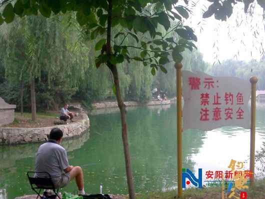 河南安阳市民洹水公园内钓鱼 无视警示牌 图