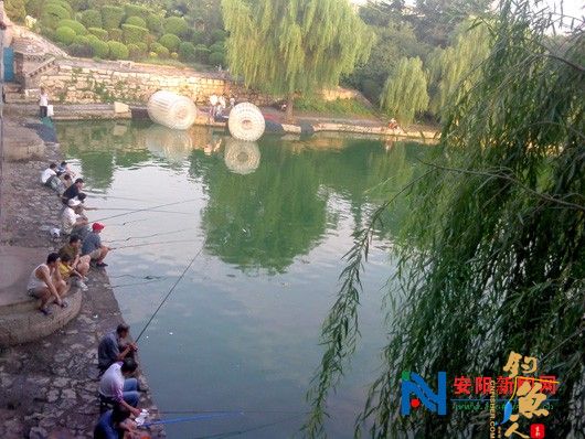 河南安阳市民洹水公园内钓鱼 无视警示牌 图