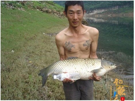 专家揭秘乌江画廊为何频出“惊人大鱼” 图