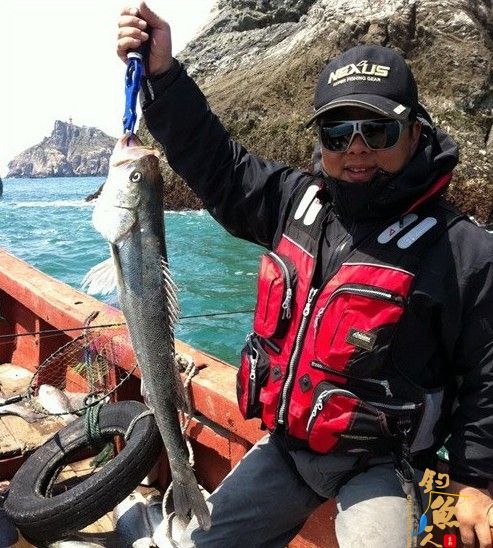 渔山海钓搏鲈鱼 tu 