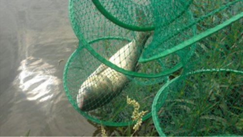 易达车友会---任达荔园山庄钓鱼“汇”