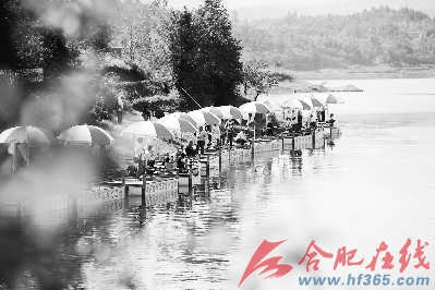 第十二届合肥晚报百名读者垂钓大赛活动 今年的钓鱼活动好不热闹