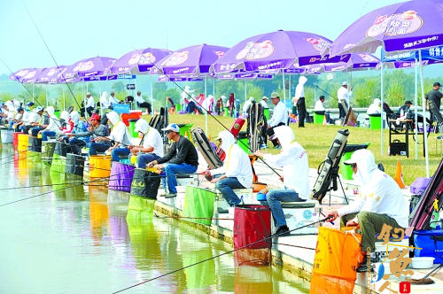 全国第七届农民运动会钓鱼比赛 90分钟 钓鱼236尾 图