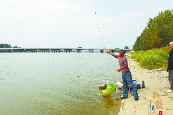 烟台淡水钓地点有很多,图为夹河红旗西路段不少市民在垂钓
