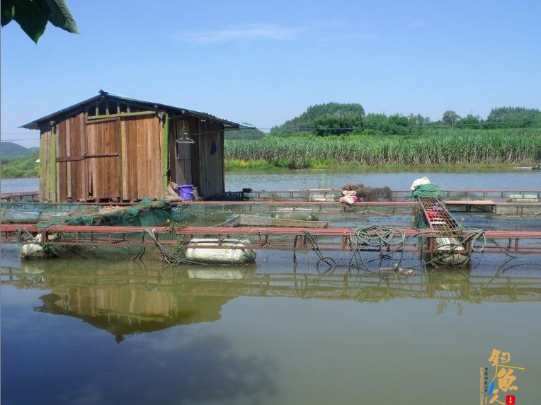 那马河的周末，别有情趣！ 钓鱼，做菜下酒 多图
