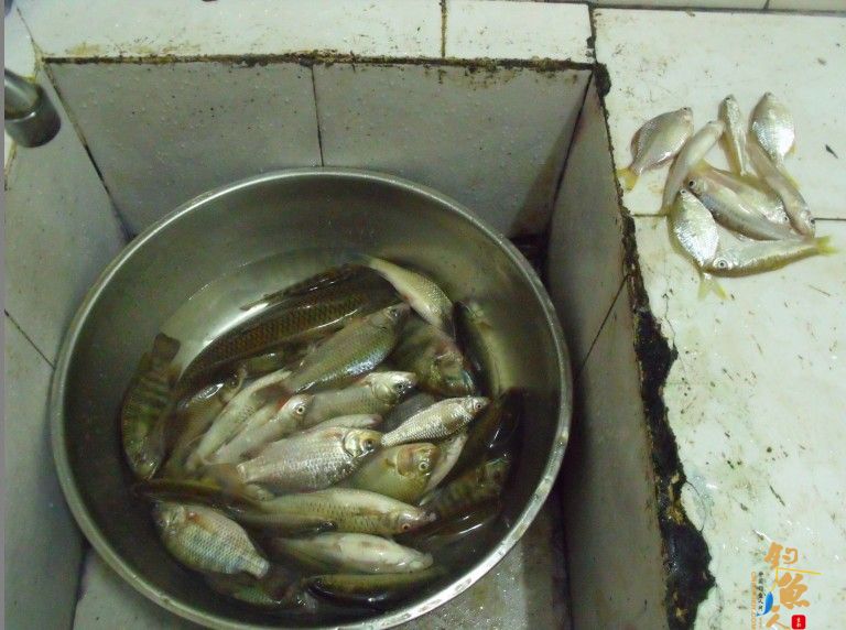 那马河的周末，别有情趣！ 钓鱼，做菜下酒 多图