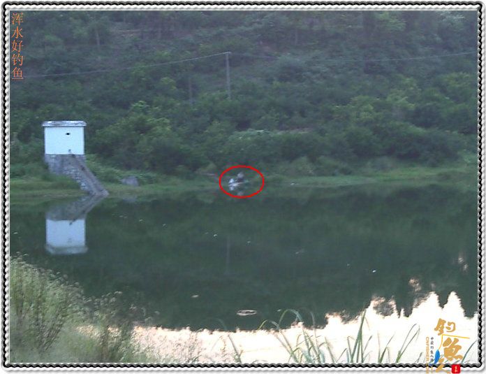 激情的清江河(59)湖库行 又去黑虎山 图