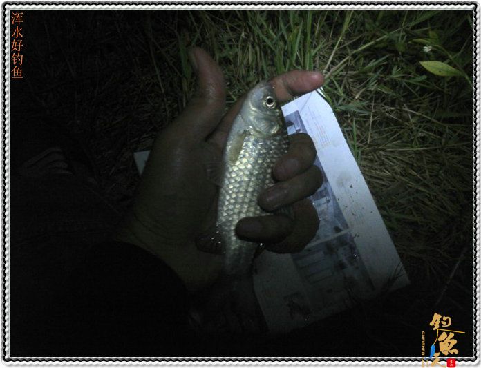 激情的清江河(59)湖库行 又去黑虎山 图