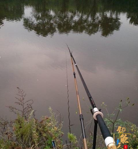 淡钓44：一条鲤鱼给九纹龙开光