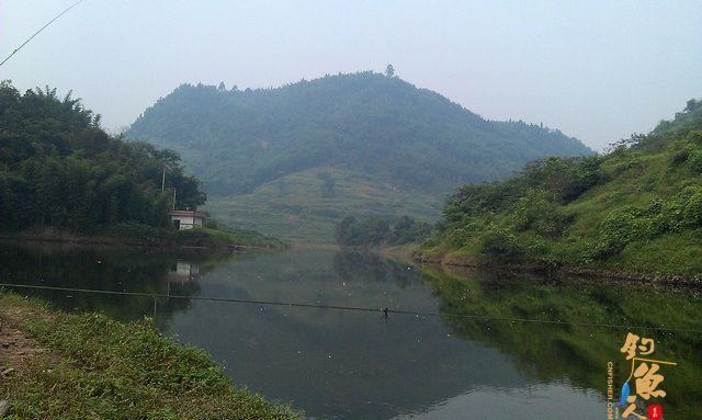 初秋小试水鸭塘水库、意外收获鲤鱼群