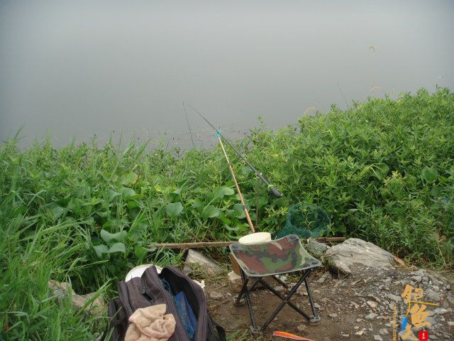 解毒老鸭窝，偶遇黄金鲤