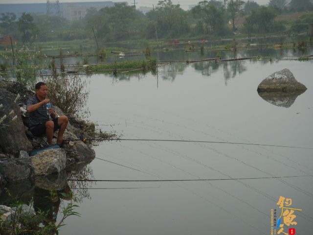 解毒老鸭窝，偶遇黄金鲤