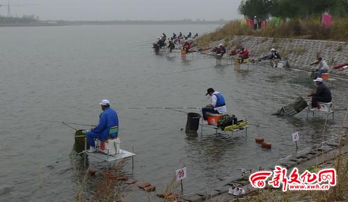 重庆：合川大安首届休闲垂钓节 大庆选手两个半小时钓88尾鱼 图