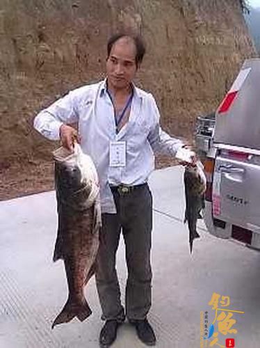 工作人员展示参赛选手斩获一尾10.7千克大鱼。