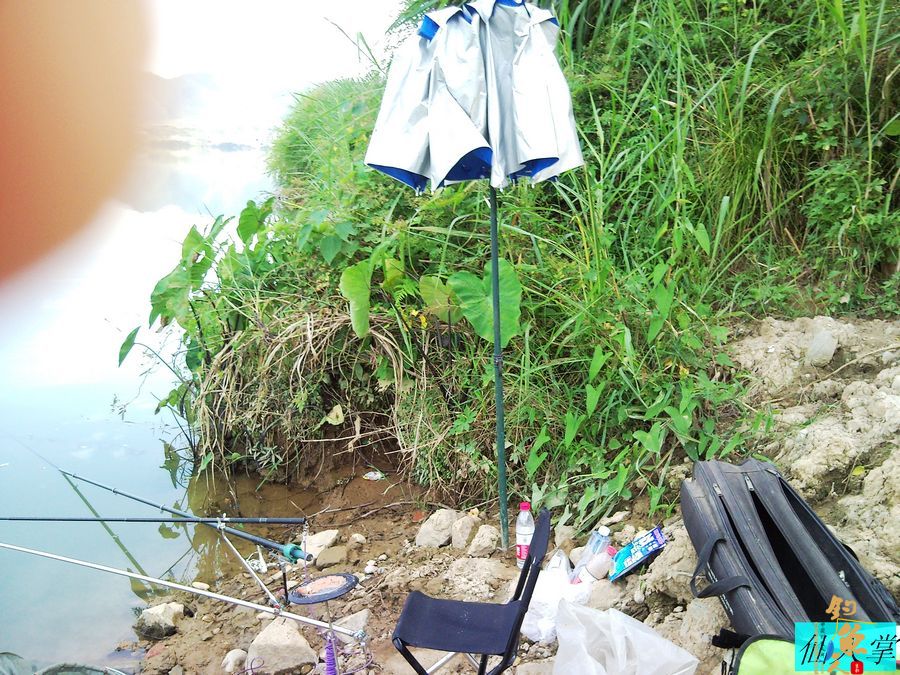 十一来收鲤 多图 BY 我是仙人掌