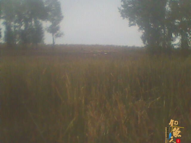 2012年小水库最后的夜钓