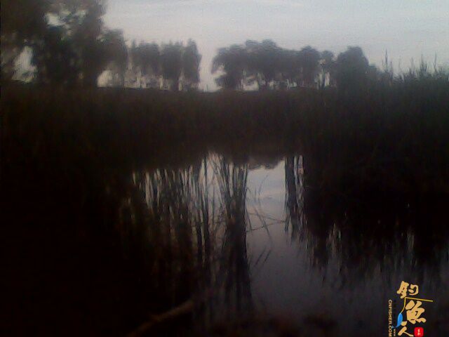 2012年小水库最后的夜钓