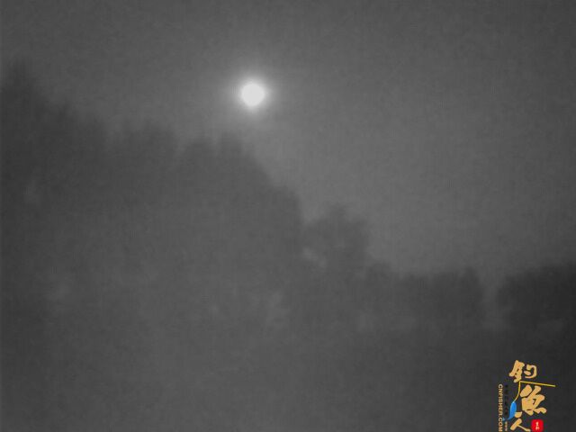 2012年小水库最后的夜钓