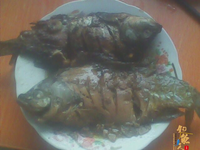 2012年小水库最后的夜钓