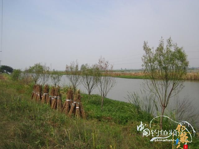 天蝎一号：得闲就克钓鱼去