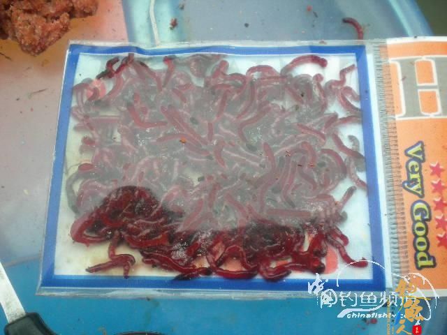 渔生•探钓小爆箱 by zjg_qzy 图