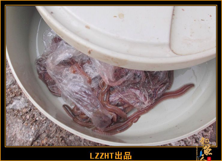 海钓一刻，漏网之鱼！