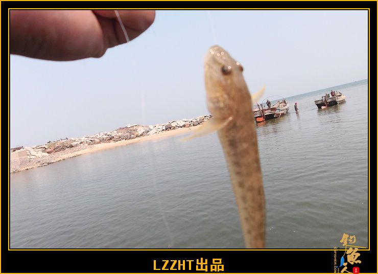 海钓一刻,漏网之鱼!