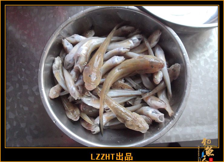 海钓一刻,漏网之鱼!