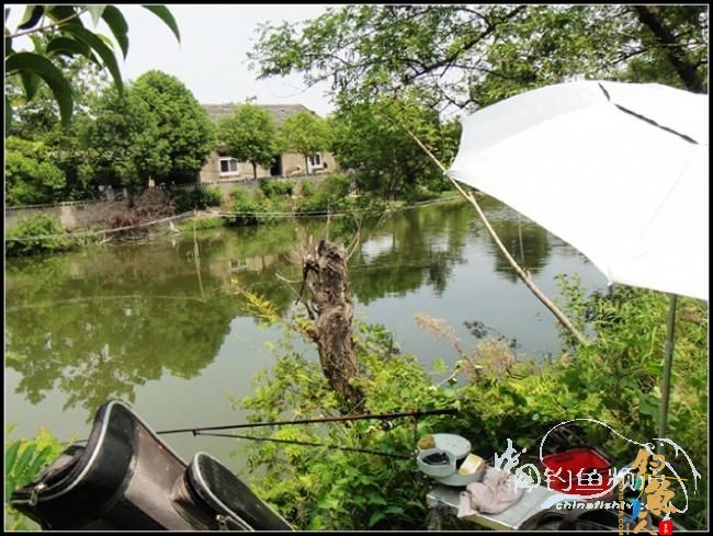 太忙了,贴子又发迟了