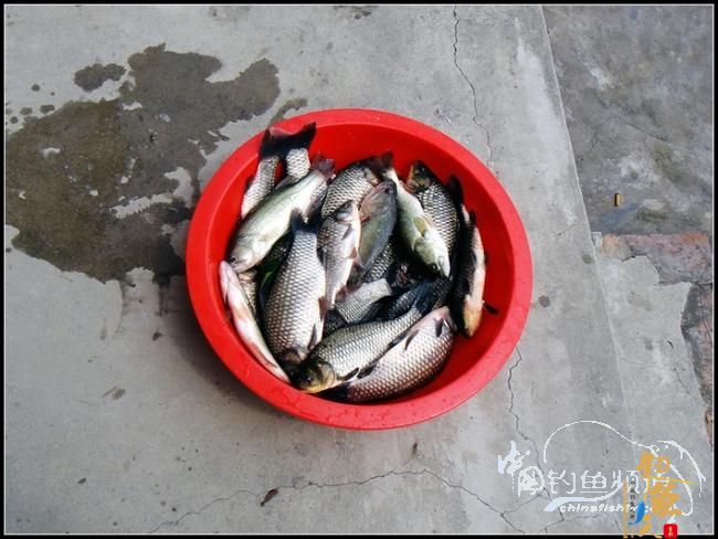 太忙了，贴子又发迟了