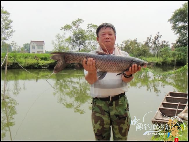 太忙了,贴子又发迟了