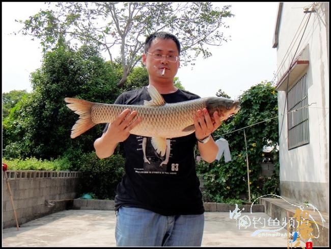 太忙了,贴子又发迟了